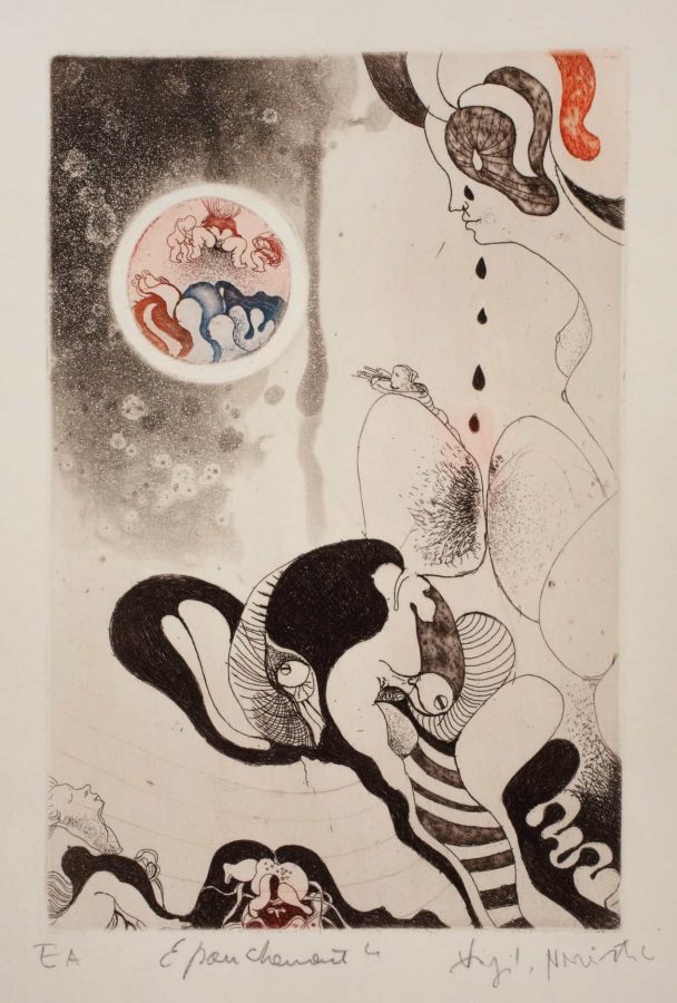 Virgilije Nevjestić, vladao je brojnim likovnim disciplinama. Sjajna tehnička postignuća u grafičkim tehnikama odlikuje bogata i živa naracija u kojoj se ljudski likovi isprepliću s elementima prirode i urbanih pejzaža u fantastičnim svjetovima nadrealističkog ugođaja. Četiri desetljeća stvaralaštva obuhvaća tisuće i tisuće grafičkih listova, desetke grafičkih mapa i bibliofilskih izdanja, oduševljavjući snagom imaginacije i sposobnosti pričanja priča profinjenim vizualnim jezikom figuracije s povremenim prodorima u apstrakciju.